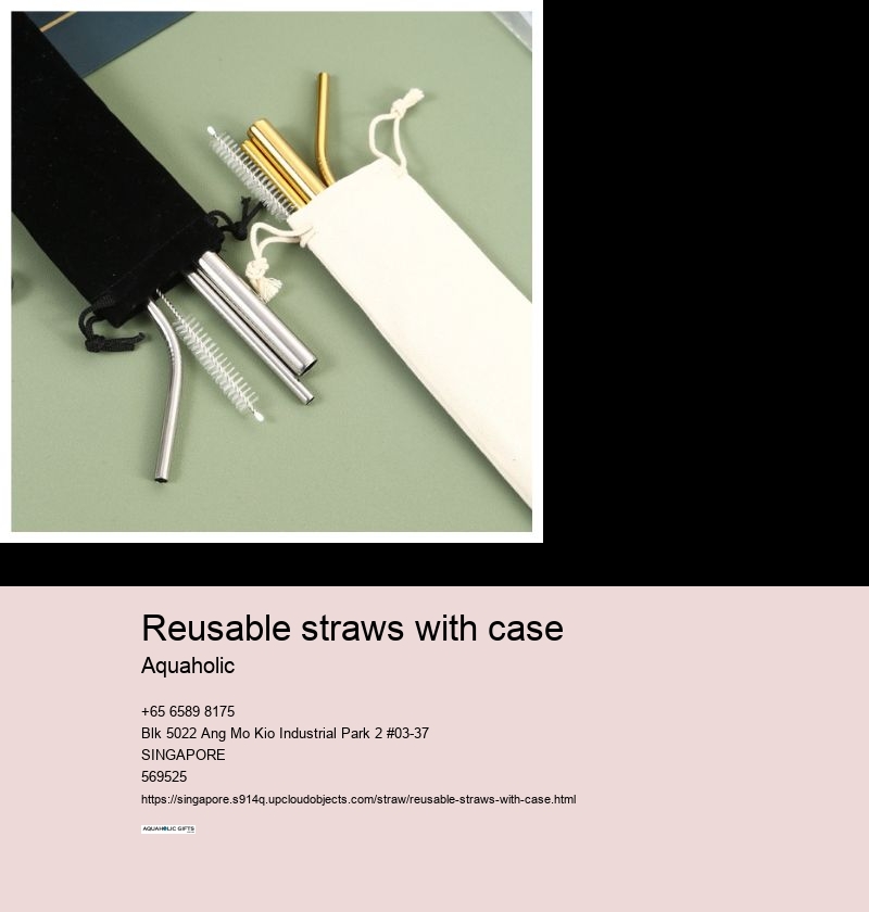 reusable straws with case